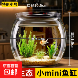 鱼缸小型迷你家用桌面金鱼缸斗鱼生态缸水草造景缸透明懒人小鱼缸 1元 - 86线报