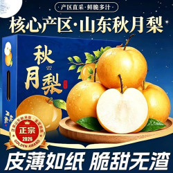 京农超 山东正宗秋月梨 净重4.5斤精品果 核心产区 产地直发 精品礼盒装 - 86线报