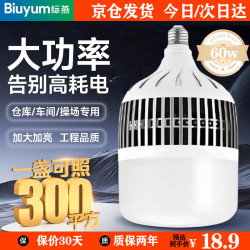 标燕Biuyum led灯泡厂房仓库大功率节能灯泡高亮度鳍片散热灯泡60w E27螺口白光6000k - 美泡泡