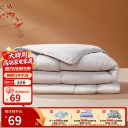 富安娜芯梦春秋被抗菌纤维被芯灰色152*210cm 69元 - 86线报