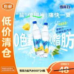可口可乐雪菲力盐汽水柠檬味600ml*24瓶 9.9元 - 86线报