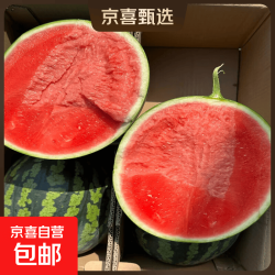 安徽冰糖麒麟西瓜超甜薄皮西瓜应季有籽无籽西瓜现摘整箱新鲜水果9-10斤 16.07元 - 86线报