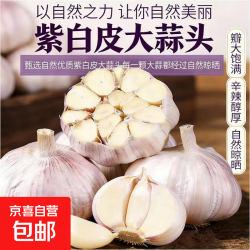 京喜大蒜头紫白皮大蒜净重1斤单果3.5-5cm 1.47元 - 线报酷