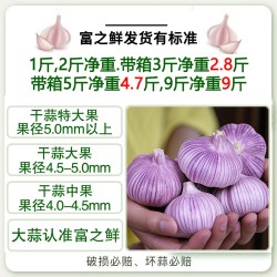 思鲜园山东金乡大蒜5斤 6.1元 - 86线报