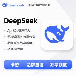 Deepseek 100元 - 86线报