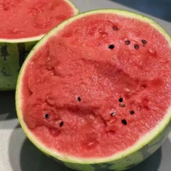 美都正宗新鲜美都麒麟西瓜甜美皮应季脆甜多汁源头直发新鲜现摘包邮净重6-7斤 13.9元 - 86线报