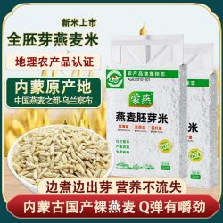 蒙燕燕麦米内蒙古优质胚芽米燕麦胚芽米真空独立包装脱壳免淘洗食用 15.89元 - 线报酷
