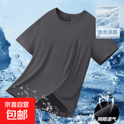 冰丝短袖t恤男夏季2026新款网眼透气跑步运动男士速干半袖CJDP深灰色3XL 10元 - 86线报