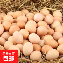京喜精选农家鲜鸡蛋单枚50g10枚 3.79元 - 86线报