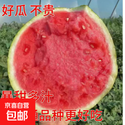 麒麟安徽现摘西瓜6-8斤 11.9元 - 线报酷