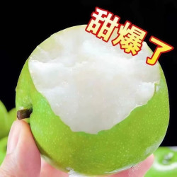 砀山梨青皮蜜梨皇冠梨梨脆甜多汁现摘现发新鲜水果当季水果4.5斤 14.9元 - 美泡泡 砀山梨青皮蜜梨皇冠梨梨脆甜多汁现摘现发新鲜水果当季水果4.5斤 14.9元 - 美泡泡