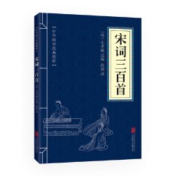 宋词三百首中华国学经典精粹诗词文论本 4.8元 - 美泡泡