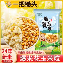 爆米花专用玉米粒家用自做爆米花原料爆裂玉米5斤 13.8元 - 美泡泡