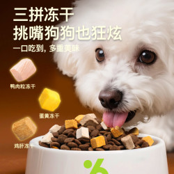 守护天使冻干鲜鸭肉中小型犬粮50g 1元 - 86线报