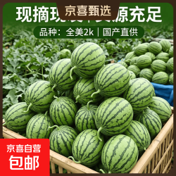 京东正宗当季新品冰淇淋小糖丸西瓜时令新鲜手剥2K小吊瓜小糖丸西瓜1.5-2斤1粒 5.01元 - 86线报