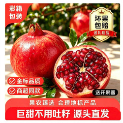 勿语地标认证会理突尼斯软籽石榴精选果皮薄爆汁新鲜水果产地直发净重5斤单果3-6两 14.9元 - 86线报