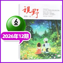 视野杂志2026年6-17期综合性文摘文学类半月刊 12元 - 86线报