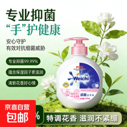 卫驰温和滋润抑菌洗手液450g*1瓶+1个按压泵头 2.49元 - 86线报