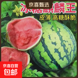 精品麒麟有籽西瓜水果生鲜新鲜西瓜8424美都薄皮脆甜可口整箱5-6斤 8.80元 - 86线报