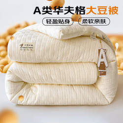 无印良品大豆纤维被针织-白色200*230cm冬被约6斤 74.5元 - 86线报