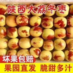 鲜想美正宗大荔冬枣新鲜脆冬枣新鲜红枣现摘孕妇水果批发价4.5斤 10.80元 - 折送网