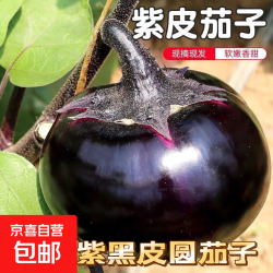 山东圆茄子3斤 2.9元 - 线报酷 山东圆茄子3斤 2.9元 - 线报酷