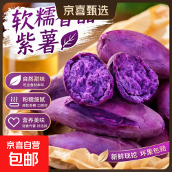 新鲜沙地紫薯净重9.5斤 16.88元 - 86线报