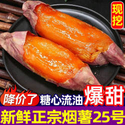 豔疅正宗山东烟薯25号5斤中果 11元 - 线报酷