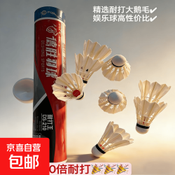 大鹅毛羽毛球专业耐打十片白羽耐用性价比娱乐球儿童学生室内外11只一桶装 1筒 12.9元 - 86线报