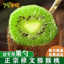 7号果猿正宗贵州修文猕猴桃新鲜绿心水果奇异果当季大果礼盒12枚中果礼盒装 赠专用果勺 9.9元 - 86线报