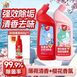 威王混香多效洁厕灵500g*2+84消毒液450g*1 13.9元 - 折送网
