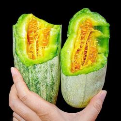 洮小婵脆甜蜜瓜羊角蜜甜瓜 14.9元 - 线报酷 洮小婵脆甜蜜瓜羊角蜜甜瓜 14.9元 - 线报酷