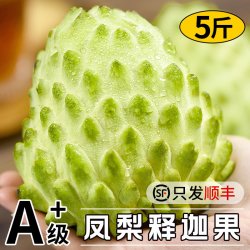 福瑞达新鲜凤梨释迦果5斤牛奶大目番荔枝佛头摩尼果当季水果整箱10林檎 15.8元 - 线报酷
