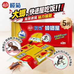 榄菊蟑螂屋5片 15.9元 - 86线报