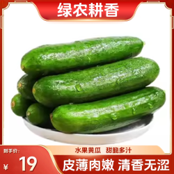 绿农耕香山东省水果黄瓜3斤 19元 - 线报酷