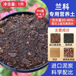 MESHPOT美莳蝴蝶兰专用花盆1升树脂透明 10.9元 - 86线报