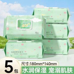 乐仙町湿纸巾80片*5包 5.01元 - 美泡泡 乐仙町湿纸巾80片*5包 5.01元 - 美泡泡