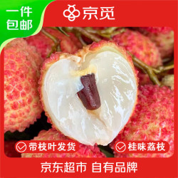京觅广州桂味荔枝净重4.5斤带枝叶单果14g 190.00元 - 86线报