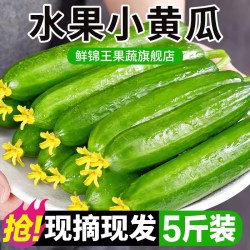 鲜锦王生吃脆嫩小黄瓜重量3斤 10.71元 - 86线报