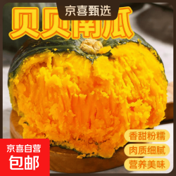 京喜正宗贝贝南瓜单果重250g以上带箱2斤 1.7元 - 86线报