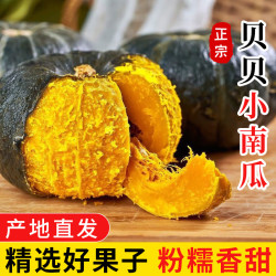京鲜匠山东贝贝南瓜栗香小南瓜粉糯老瓜新鲜蔬菜香甜软糯产地直发2斤 2.79元 - 86线报