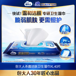 包大人 Dr.P 杀菌洁肤成人护理卫生湿巾40片 单包 13号10点开始 - 86线报