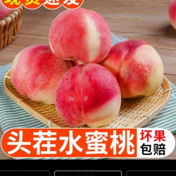 同甘园顺京东桃子新鲜水蜜桃当季整箱5斤单果100-180g起净重4.5斤 14.67元 - 美泡泡
