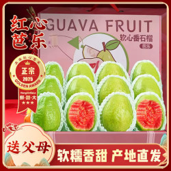 粤迎红心软糯芭乐新鲜现摘番石榴广西低糖水果5斤甄选装净4.5斤 16.9元 - 86线报
